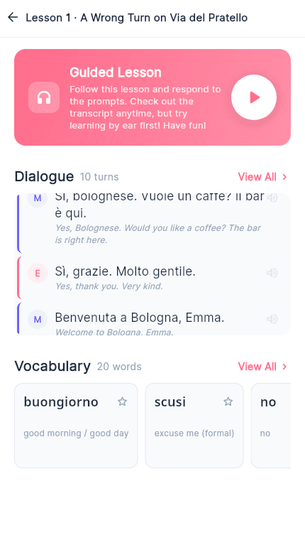 LangBlitz learn tab with guided lesson dialogue and vocabulary